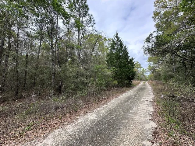 $11,500 | 176 Northeast 155th Court, Williston, FL 32696
