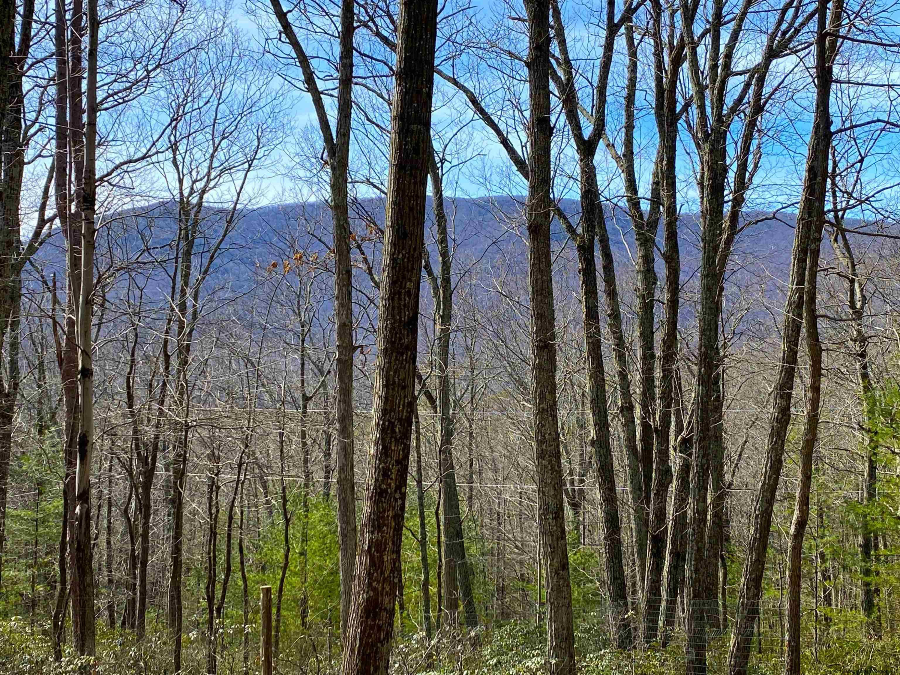 120 Beaverkill Road Mount Tremper, NY 12457 - Photo 22 of 25 Photo 23