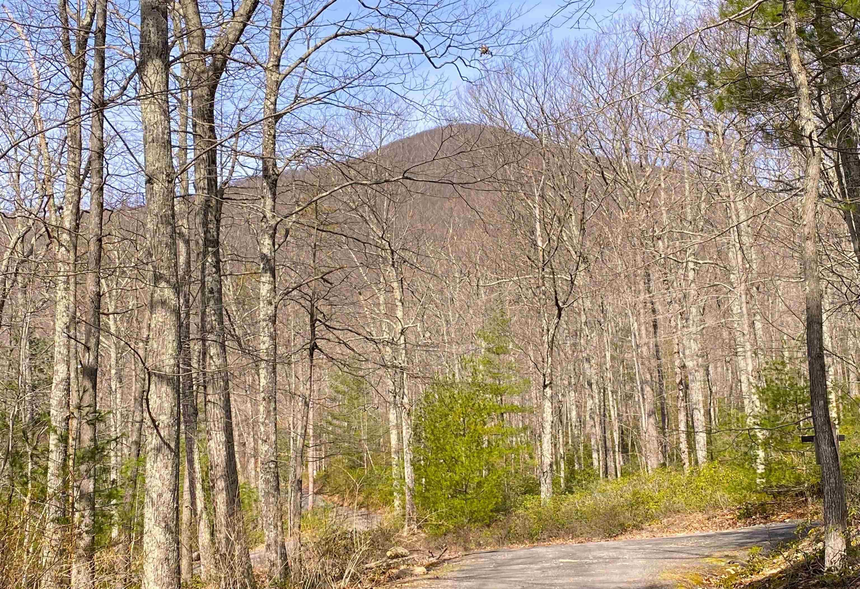 120 Beaverkill Road Mount Tremper, NY 12457 - Photo 23 of 25 Photo 24