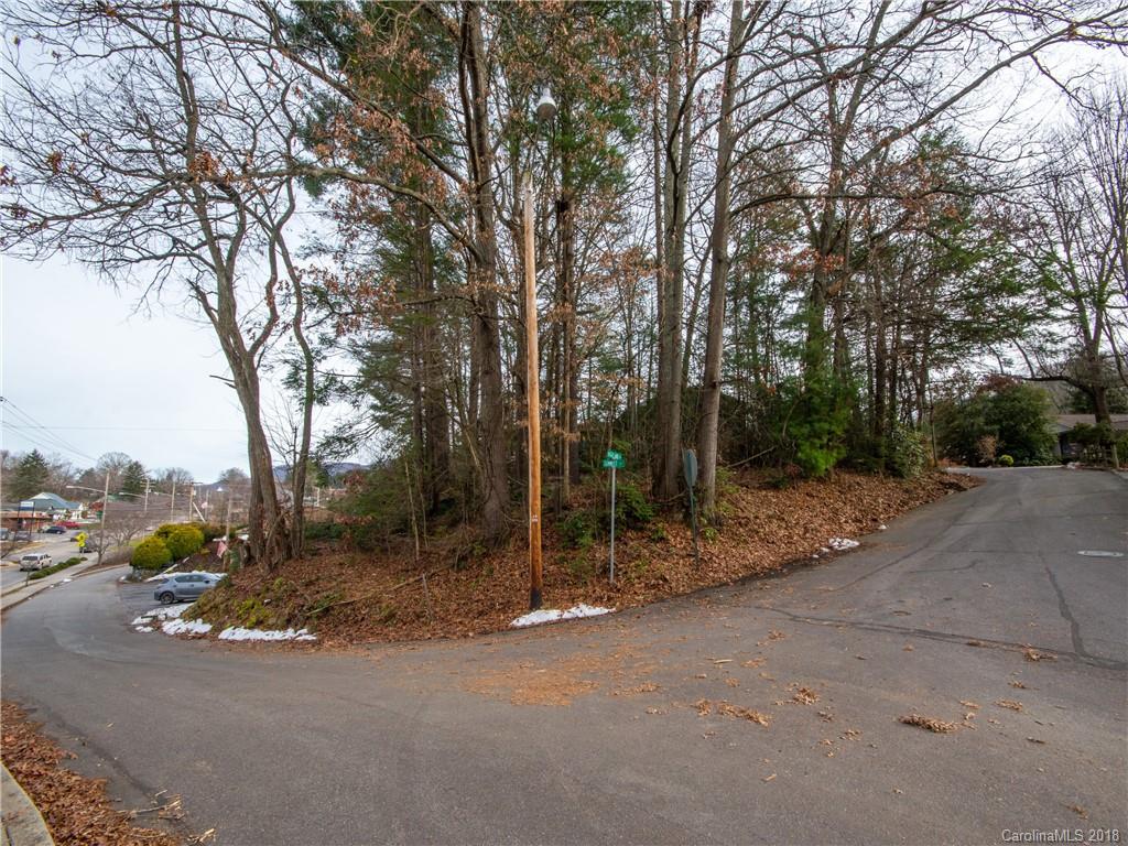 0 Highland Road Waynesville, NC 28786 - Photo 2 of 6 Gallery Image 2
