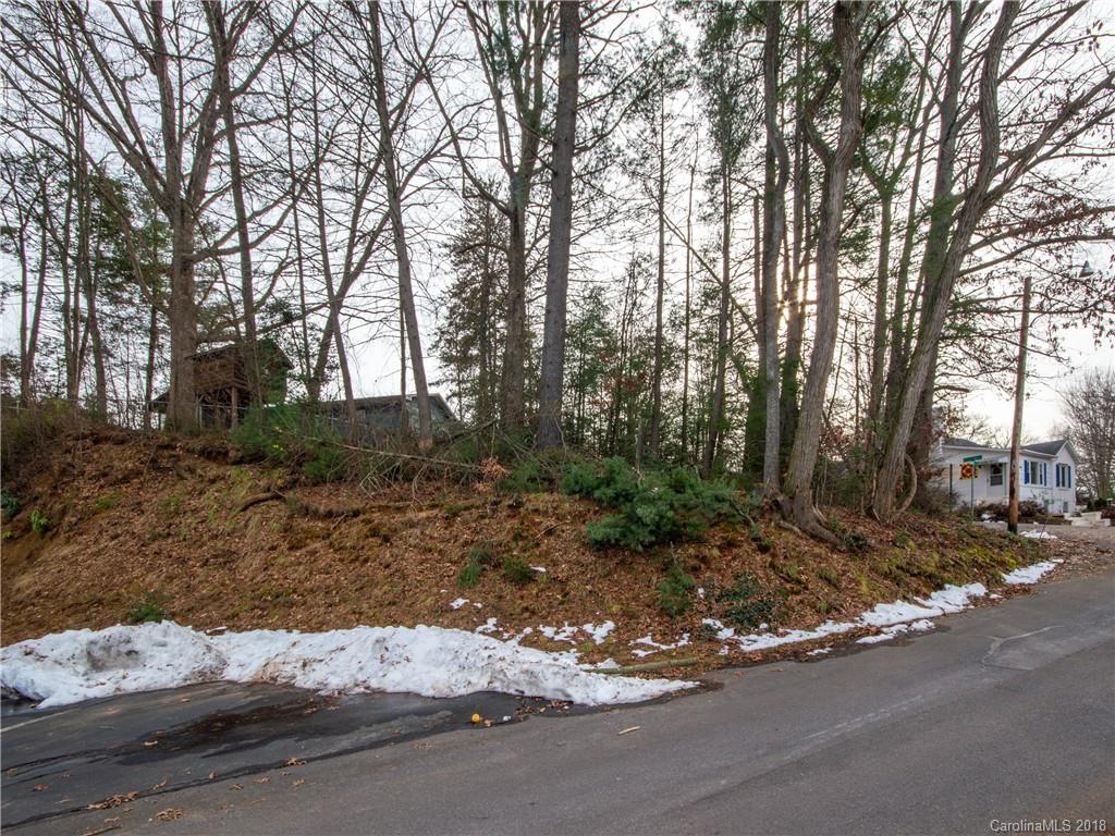 0 Highland Road Waynesville, NC 28786 - Photo 3 of 6 Gallery Image 3