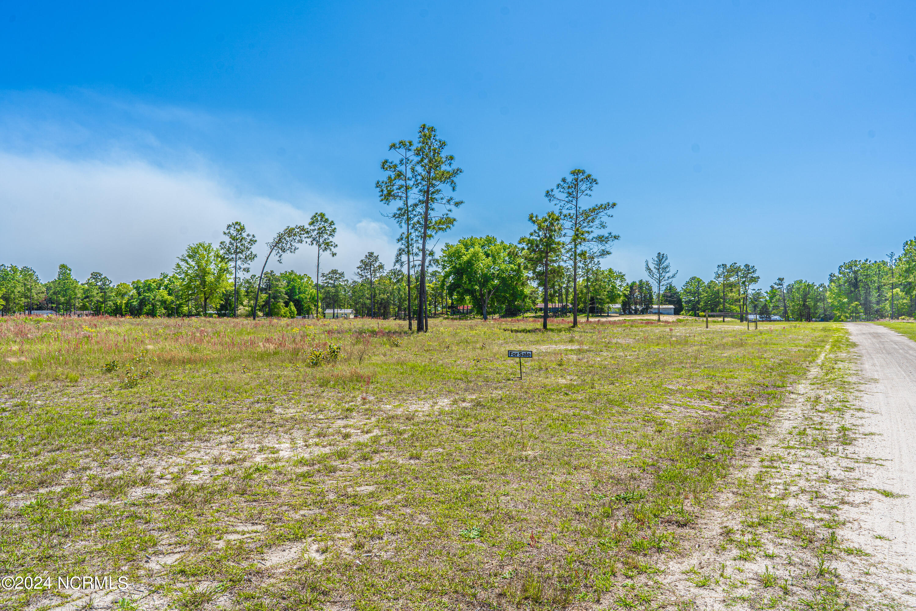 475 Huntland Road Vass, NC 28394 - Photo 10 of 11 DSC02153