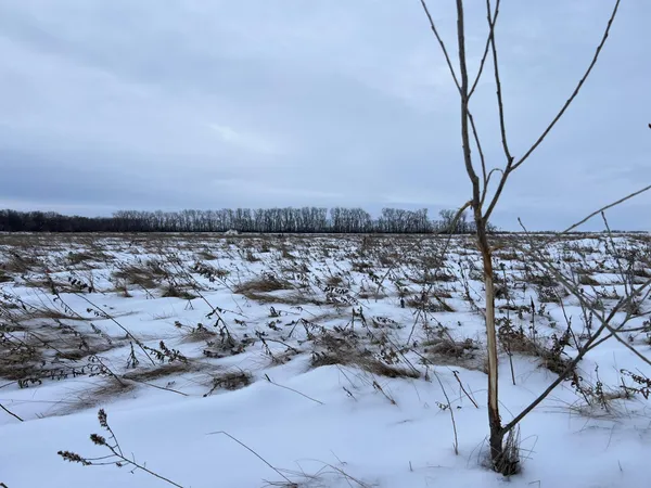 $640,000 | 1-st St Se 1-st Street, Cooperstown, ND 58425