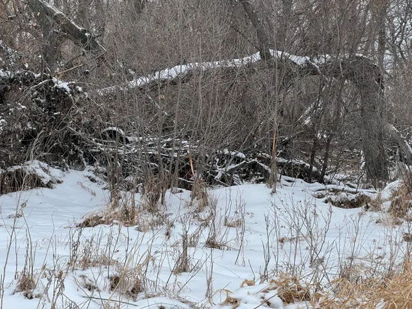 $640,000 | 1-st St Se 1-st Street, Cooperstown, ND 58425