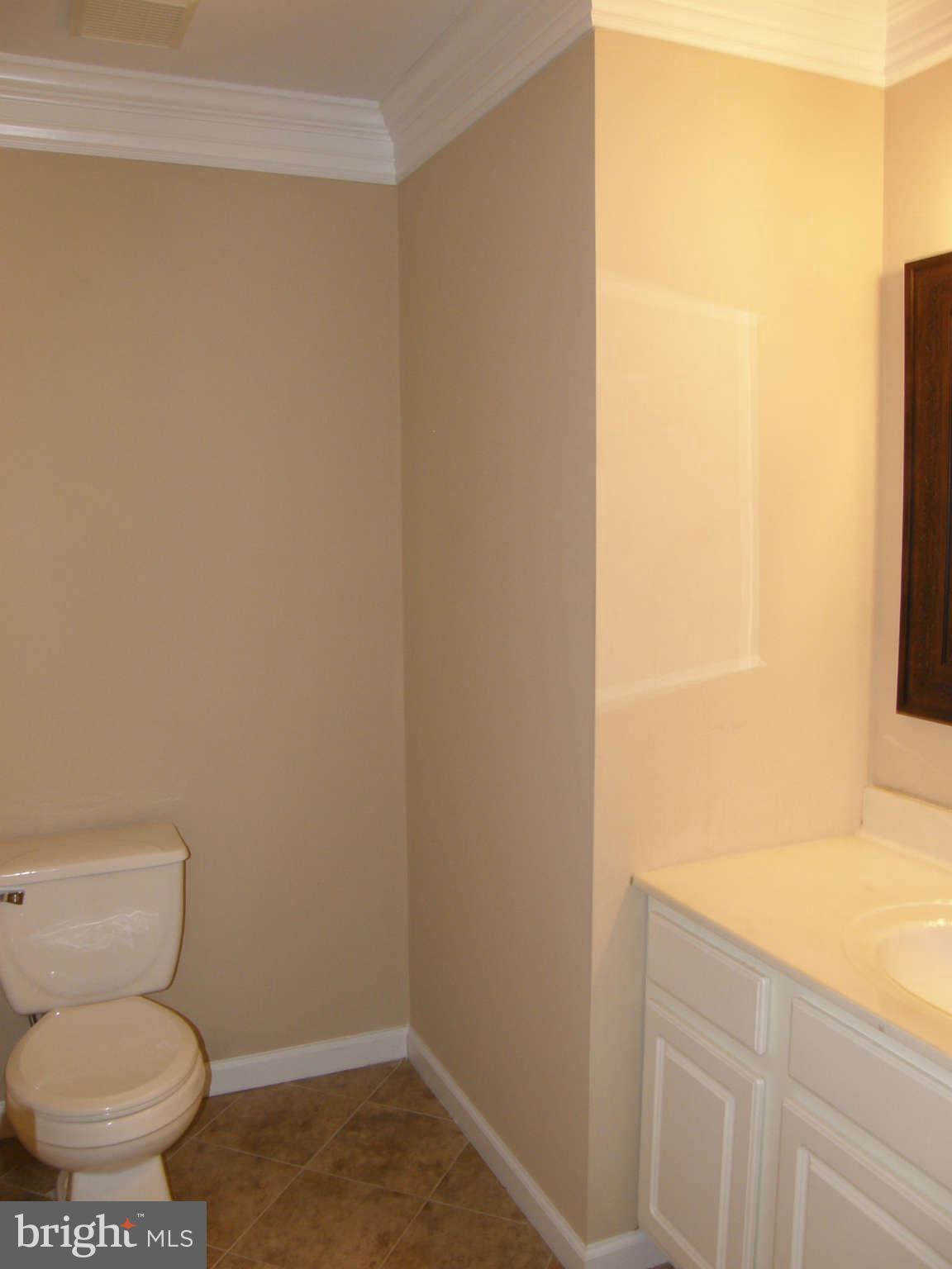 8230 Old Stillhouse Road Rixeyville, VA 22737 - Photo 15 of 30 a white toilet sitting next to a shower curtain