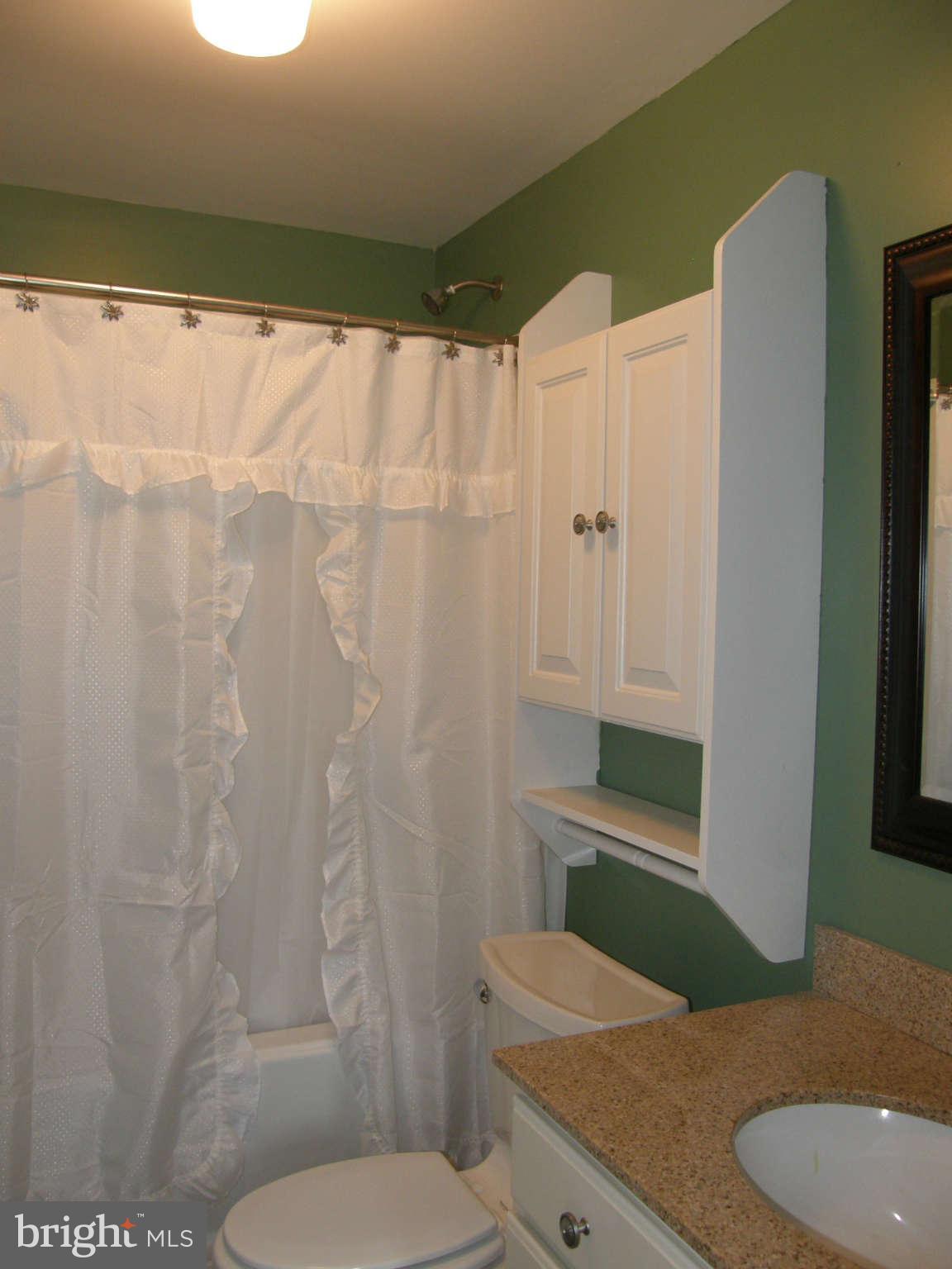 8230 Old Stillhouse Road Rixeyville, VA 22737 - Photo 22 of 30 a bathroom with a toilet and a shower