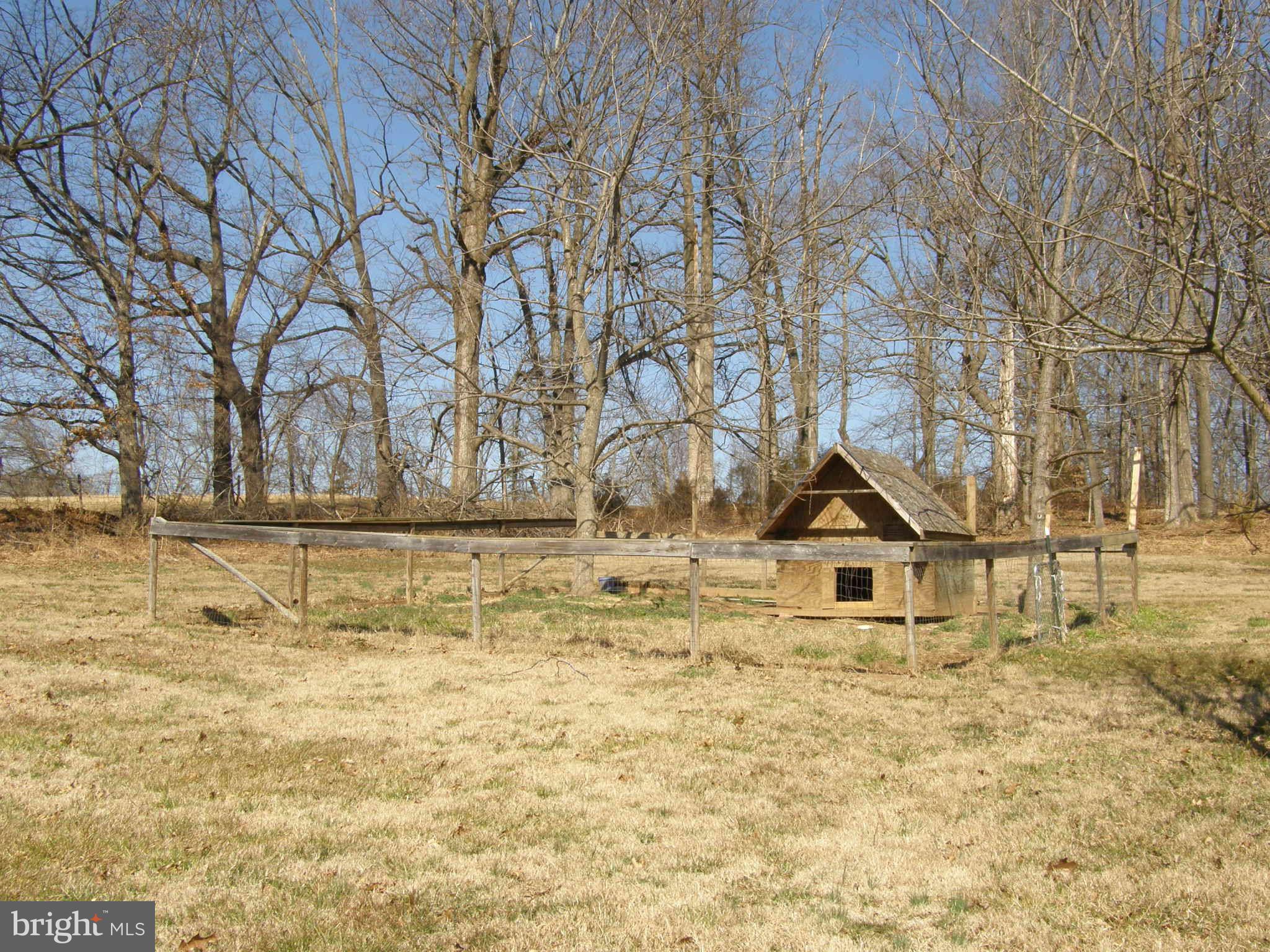8230 Old Stillhouse Road Rixeyville, VA 22737 - Photo 4 of 30 a view of swimming pool with a yard