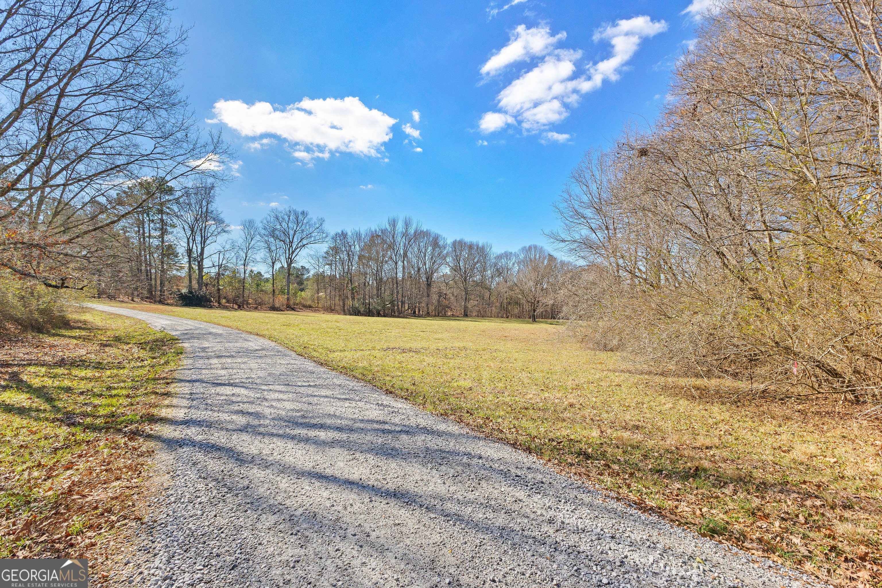 413 Morgan Mill Road Brooks, GA 30205 - Photo 19 of 172