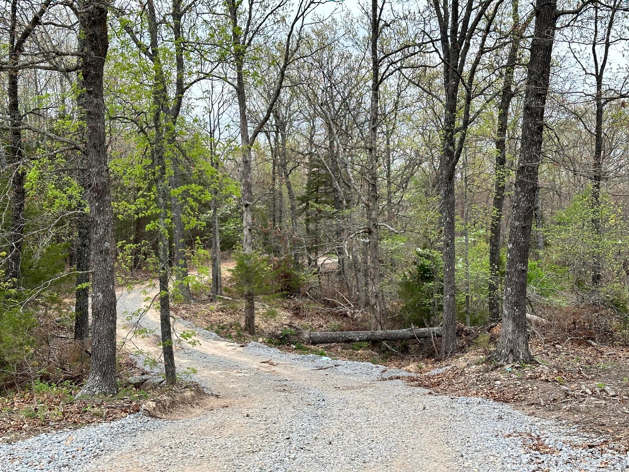 0 Stone Ridge Road Huggins, MO 65484 - Photo 1 of 1 IMG_6354