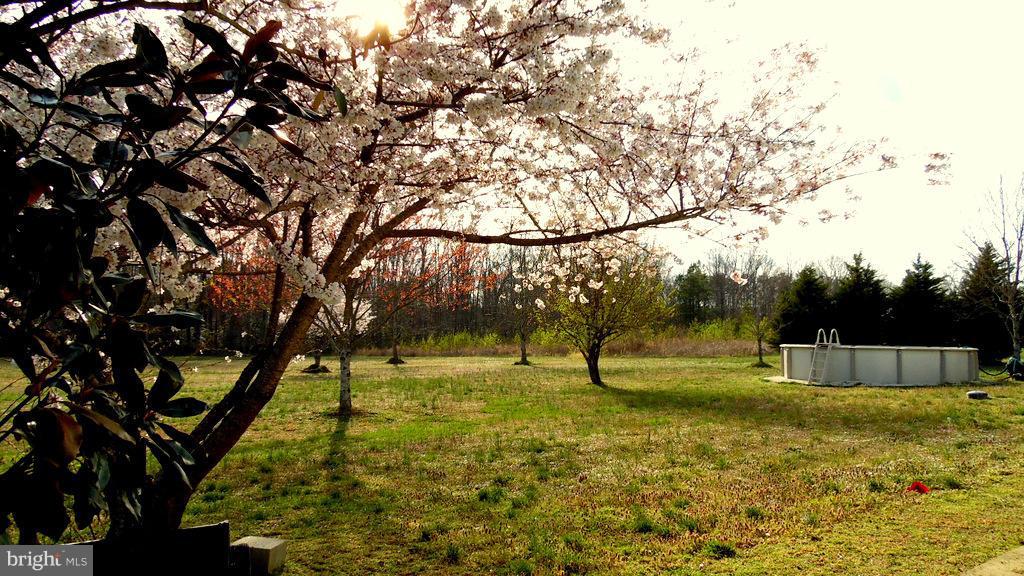 8086 Tate Road Ruther Glen, VA 22546 - Photo 9 of 27 Exterior (Rear)