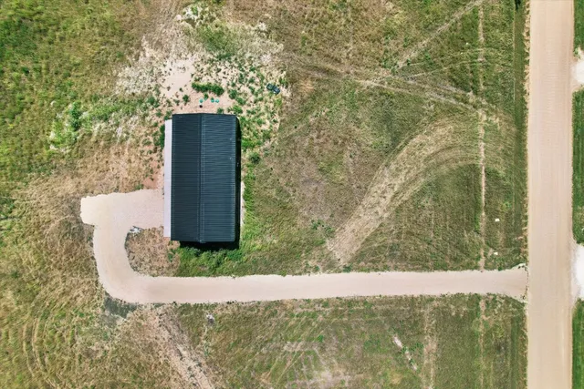 a view of a wooden wall with large trees
