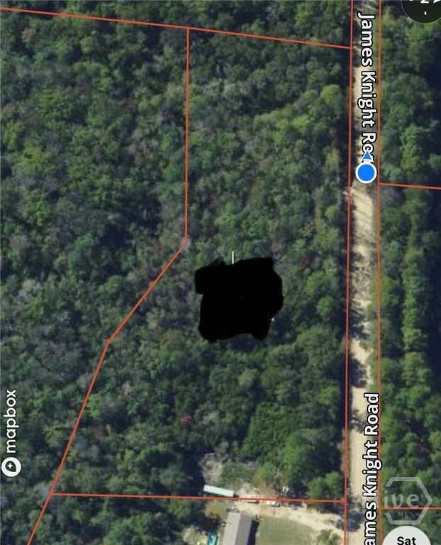 485 James Knight Road Jesup, GA 31545 - Photo 4 of 4 Gallery Image 4
