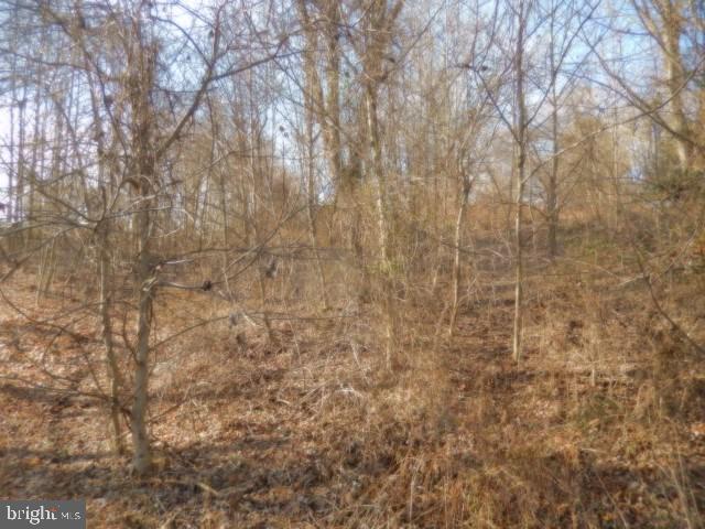Lot 4 St-john's Road Duncannon, PA 17020 - Photo 8 of 11 Gallery Image 8