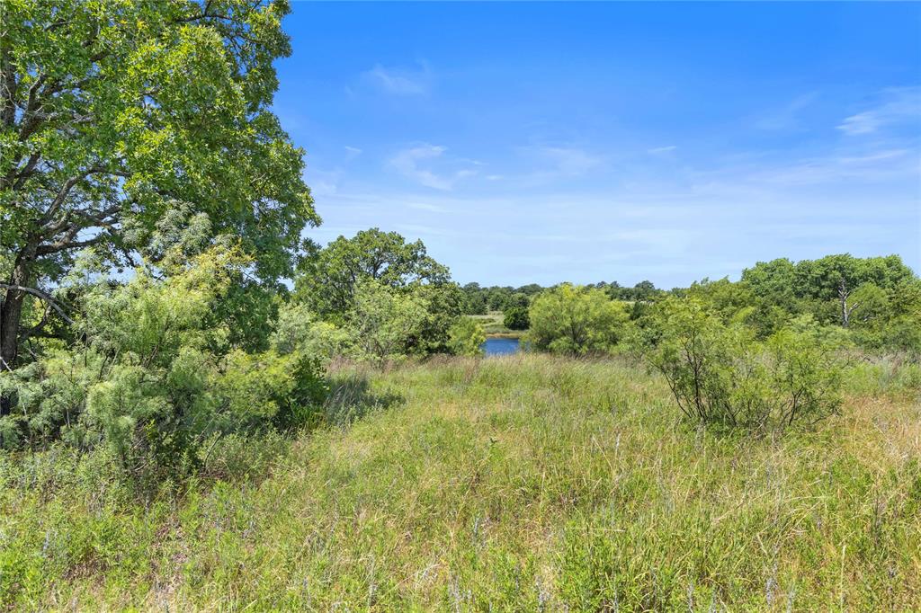 Tbd Berry Dairy Road Bryson, TX 76427 - Photo 11 of 39