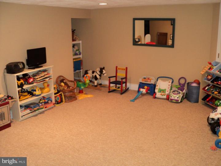 217 Madison Road Willow Grove, PA 19090 - Photo 16 of 18 Basement - Finished