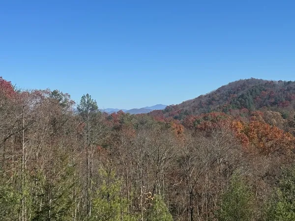 a view of a mountain range with trees in the background