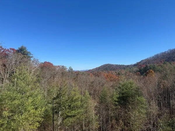 a view of a mountain range with trees in the background