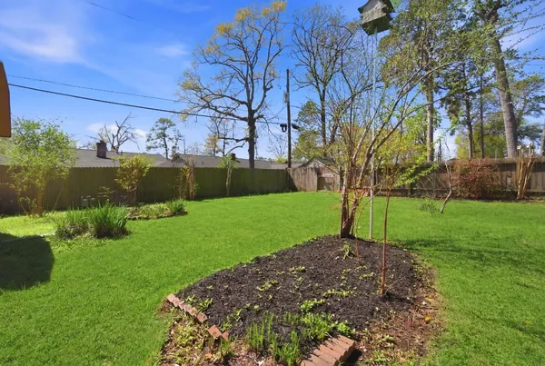 a view of a garden with a tree