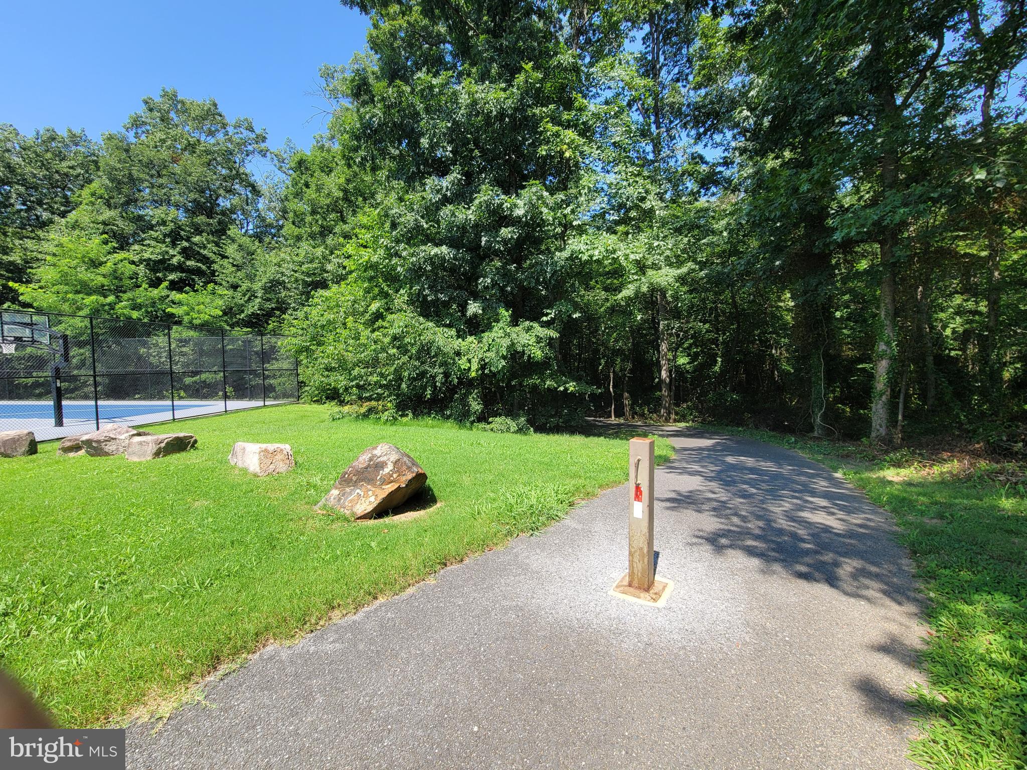 9425 Fairview Avenue Laurel, MD 20723 - Photo 121 of 125 High Ridge Park has natural trails to wander