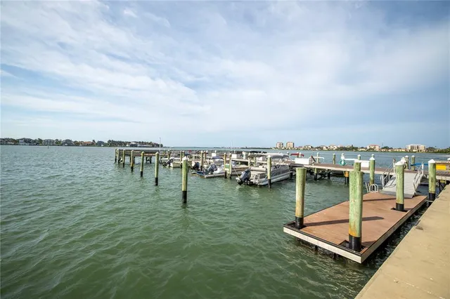 a view of a park with palm trees