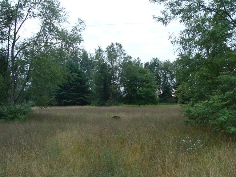 1655 West Fenwick Road Fenwick, MI 48834 - Photo 3 of 3 Additional Photo