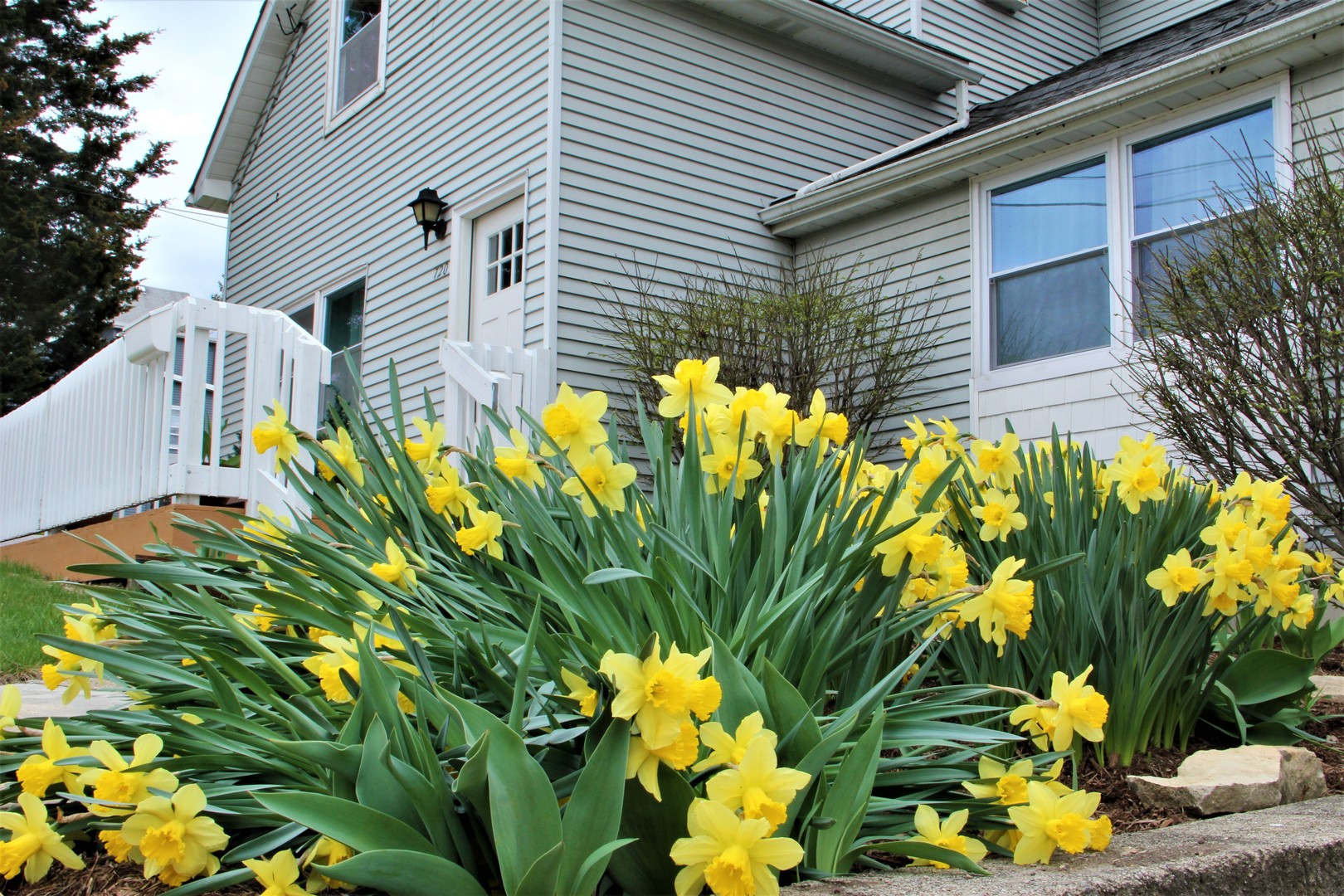 720 Chestnut Street Lemont, IL 60439 - Photo 2 of 27