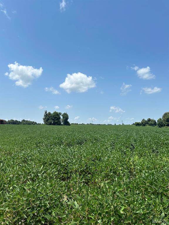 0 U.S. Highway 62 Campbell, MO 63933 - Photo 3 of 11