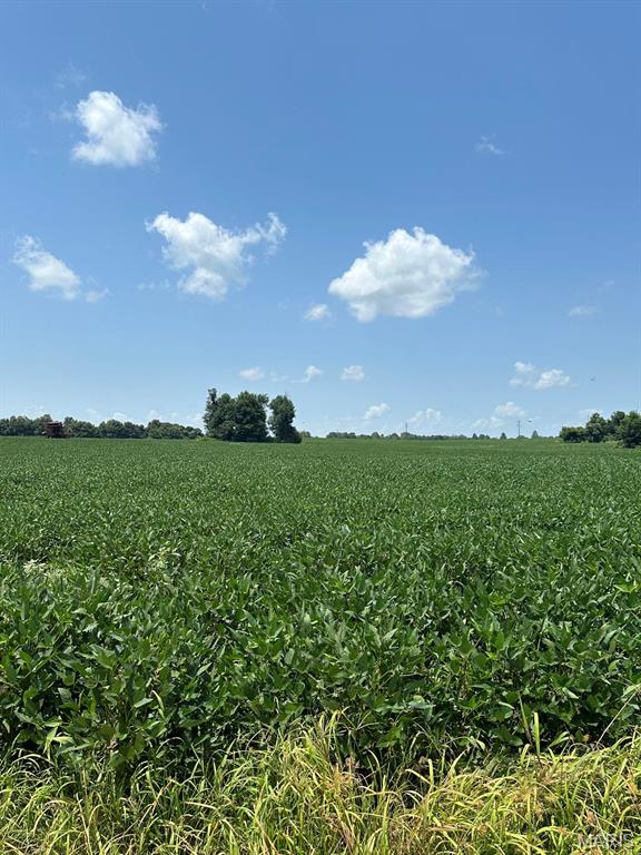 0 U.S. Highway 62 Campbell, MO 63933 - Photo 4 of 11