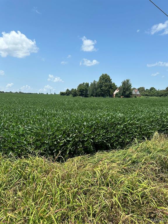 0 U.S. Highway 62 Campbell, MO 63933 - Photo 8 of 11