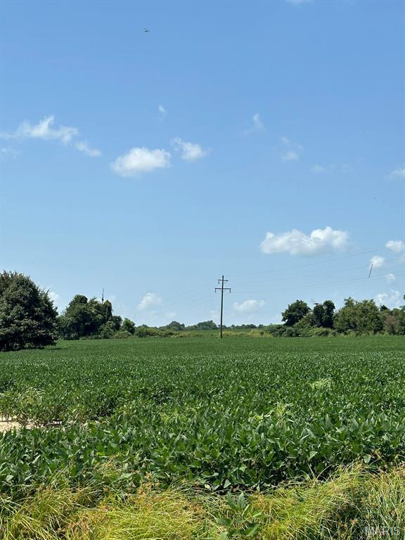 0 U.S. Highway 62 Campbell, MO 63933 - Photo 9 of 11