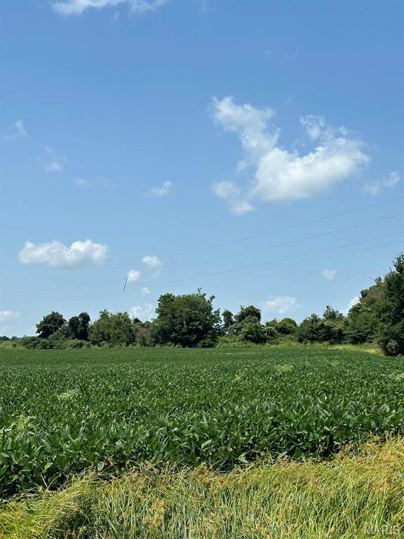 0 U.S. Highway 62 Campbell, MO 63933 - Photo 10 of 11