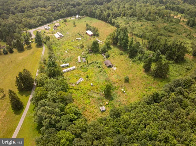 a view of a big yard with large trees