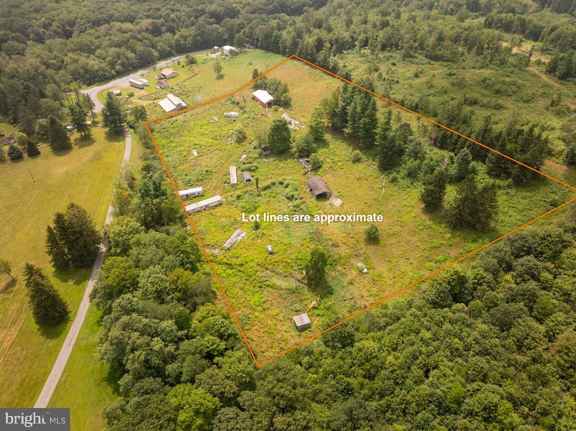 1055 Old Wilson Road Swanton, MD 21561 - Photo 13 of 19 a view of a yard with swimming pool