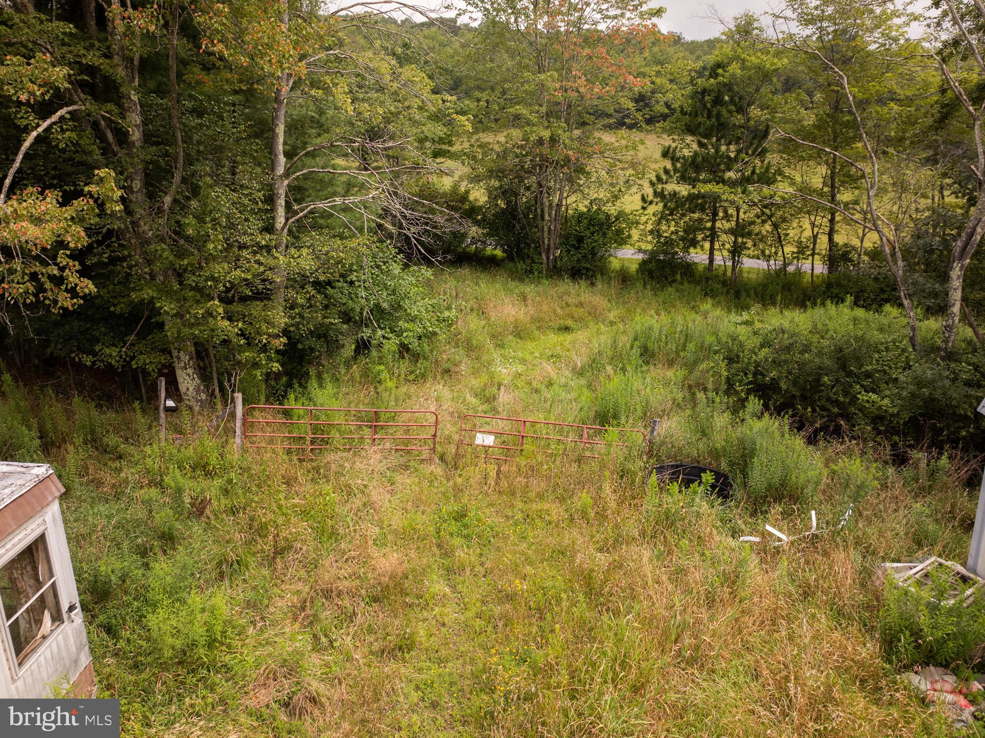 1055 Old Wilson Road Swanton, MD 21561 - Photo 4 of 19 a view of lake view