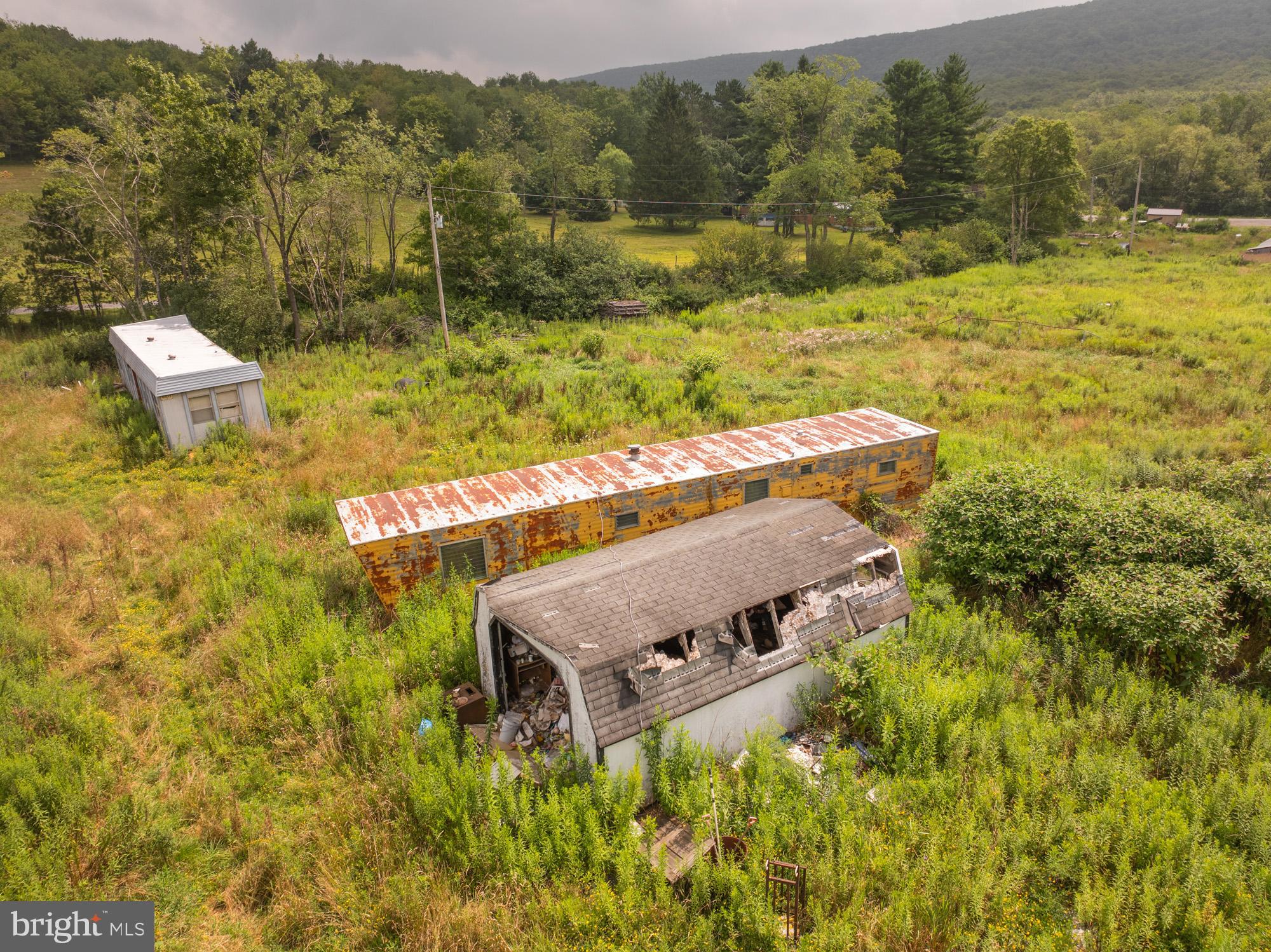 1055 Old Wilson Road Swanton, MD 21561 - Photo 8 of 19 a view of a yard with an outdoor space