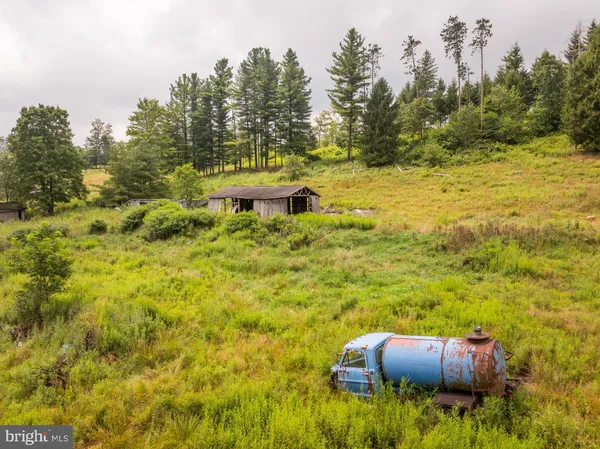 a view of a yard with swimming pool