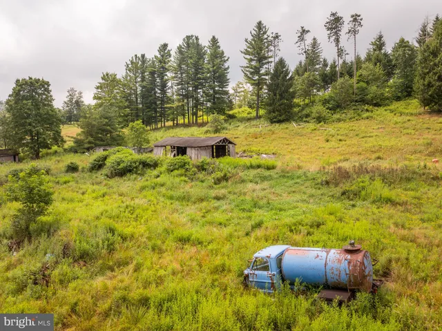 a view of a yard with swimming pool