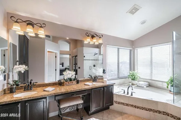 a bathroom with a tub double vanity sink and a large mirror