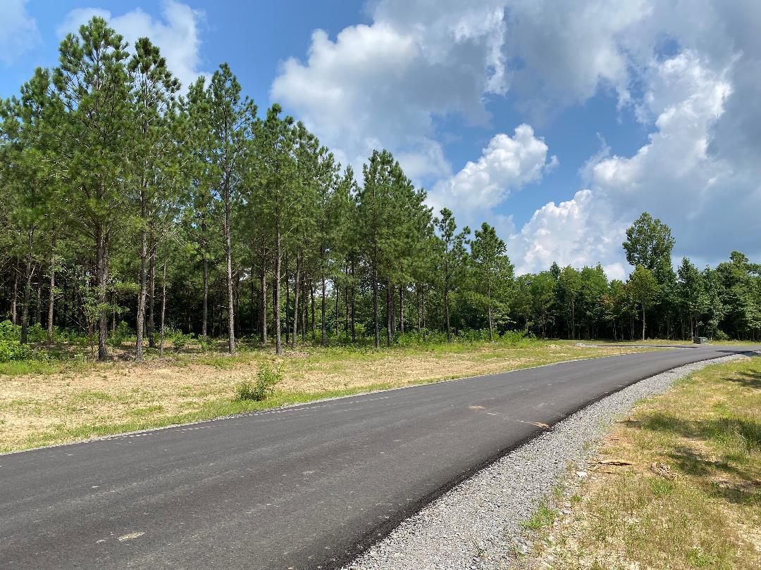 0 Cherokee Path, Unit 236 Jasper, TN 37347 - Photo 3 of 17 236 3