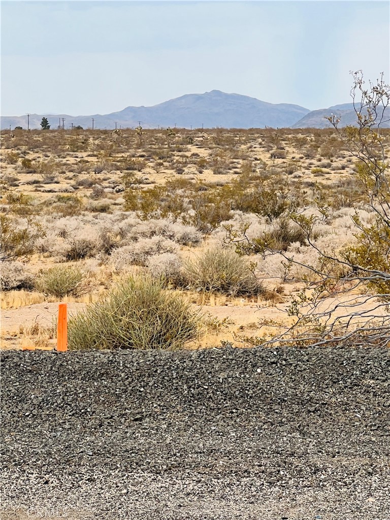 0 Reche Road Landers, CA 92285 - Photo 4 of 14