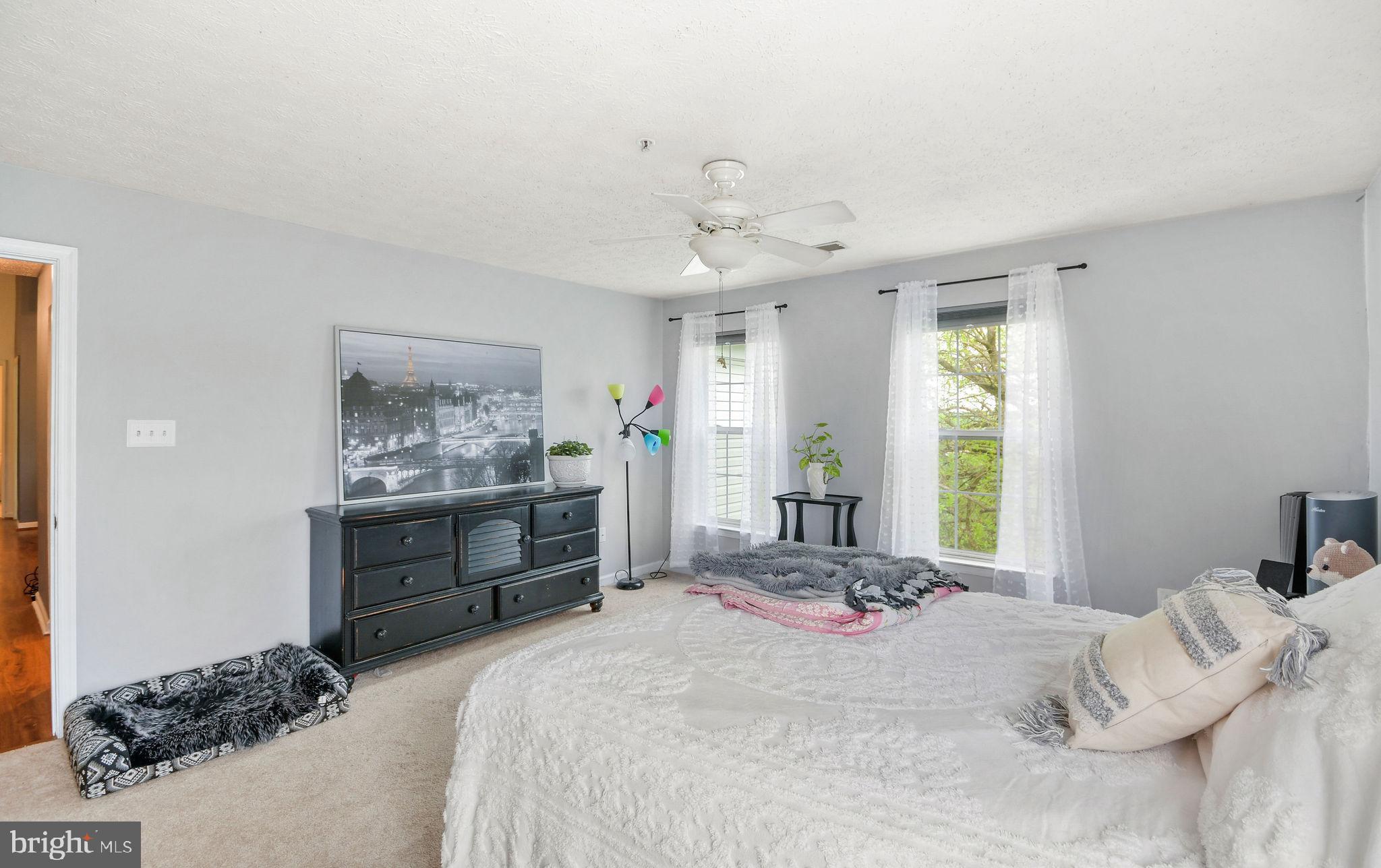 6391 Rutherford Court, Unit L Frederick, MD 21703 - Photo 22 of 34 Windows galore!