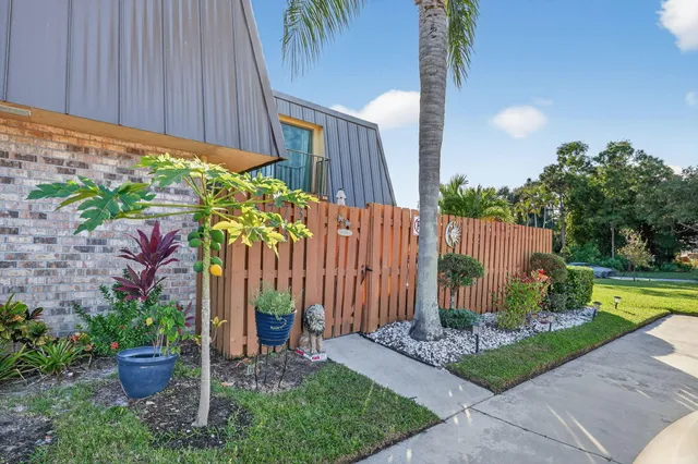 a view of a backyard with plants and a garden