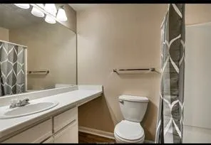 a bathroom with a sink a toilet and a mirror