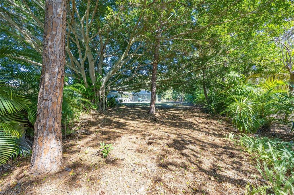 6574 Trail Boulevard Naples, FL 34108 - Photo 33 of 40 a view of a forest with trees