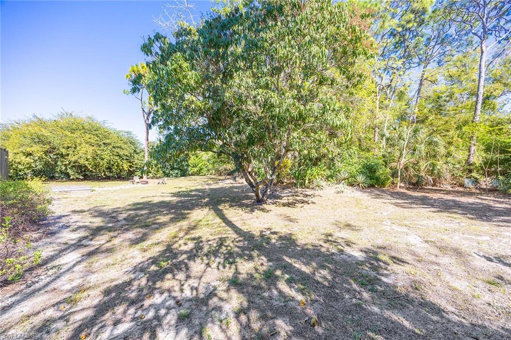 6574 Trail Boulevard Naples, FL 34108 - Photo 35 of 40 a view of yard with large trees