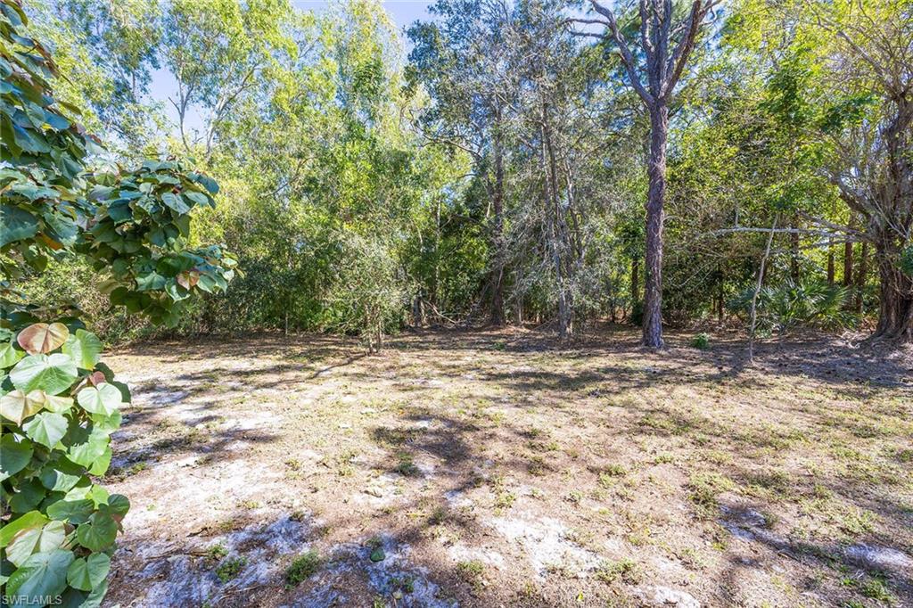 6574 Trail Boulevard Naples, FL 34108 - Photo 39 of 40 a view of backyard with green space
