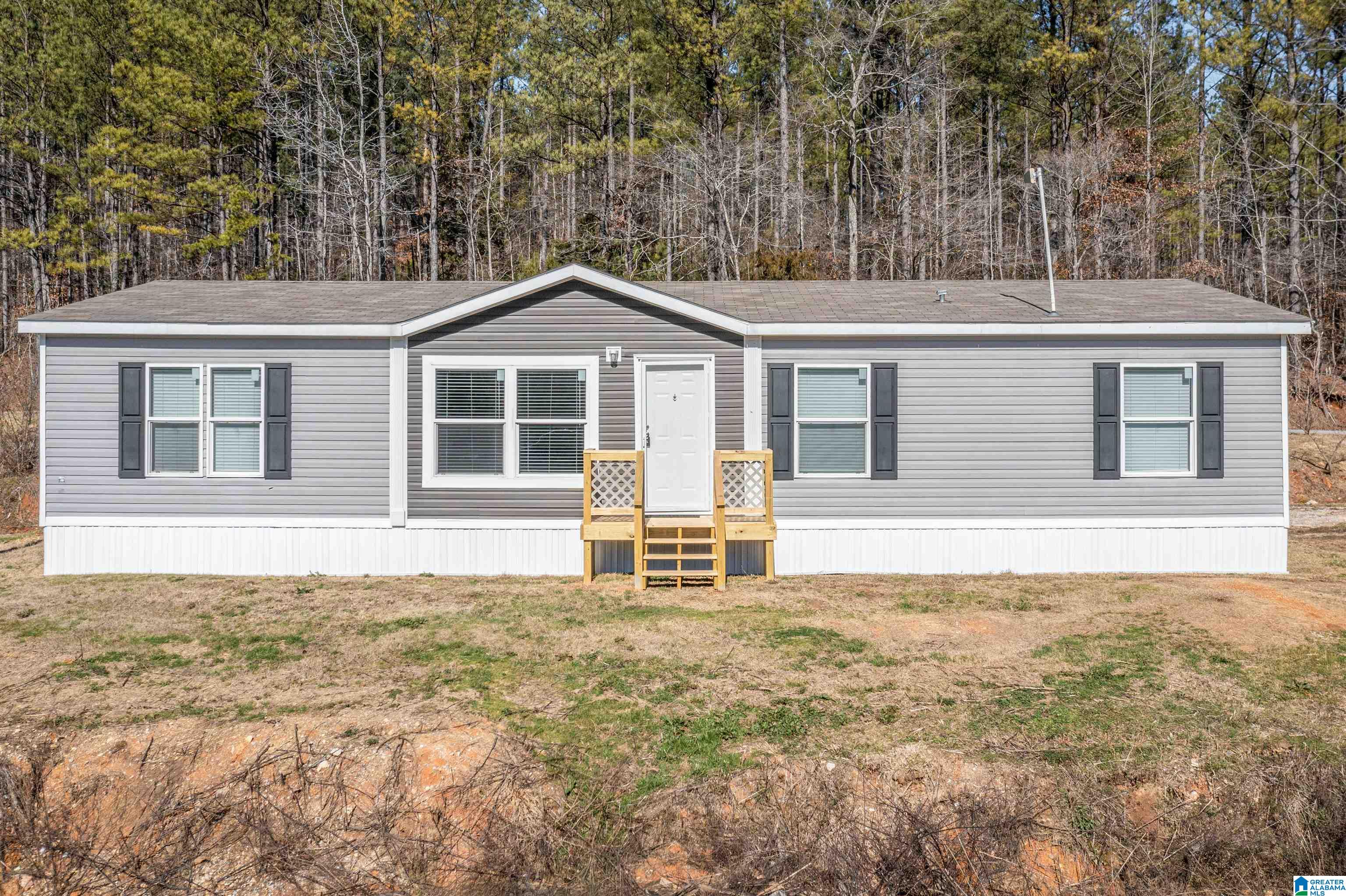 9870 New Liberty Road Piedmont, AL 36272 - Photo 2 of 29