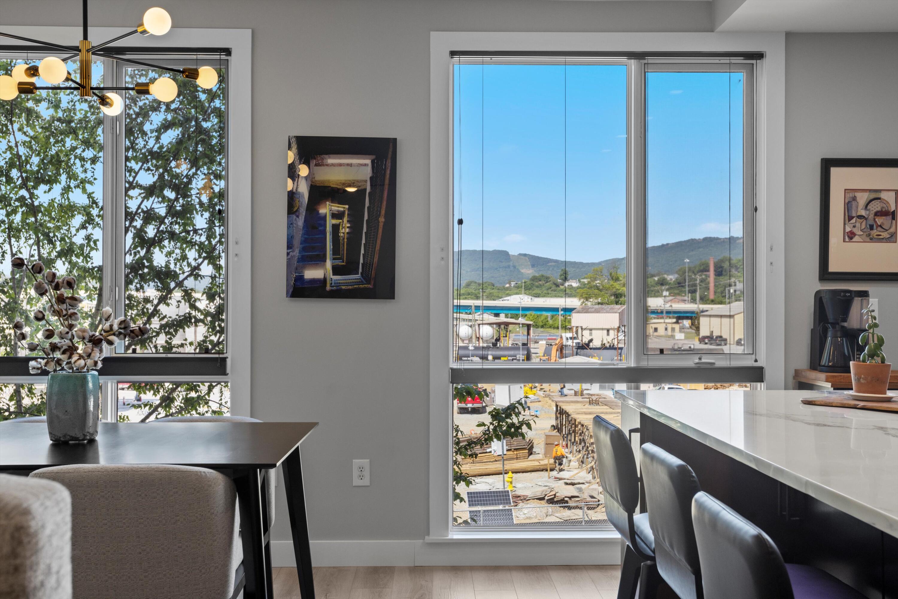 200 Manufacturers Road, Unit 216 Chattanooga, TN 37405 - Photo 35 of 62 Sunny views!