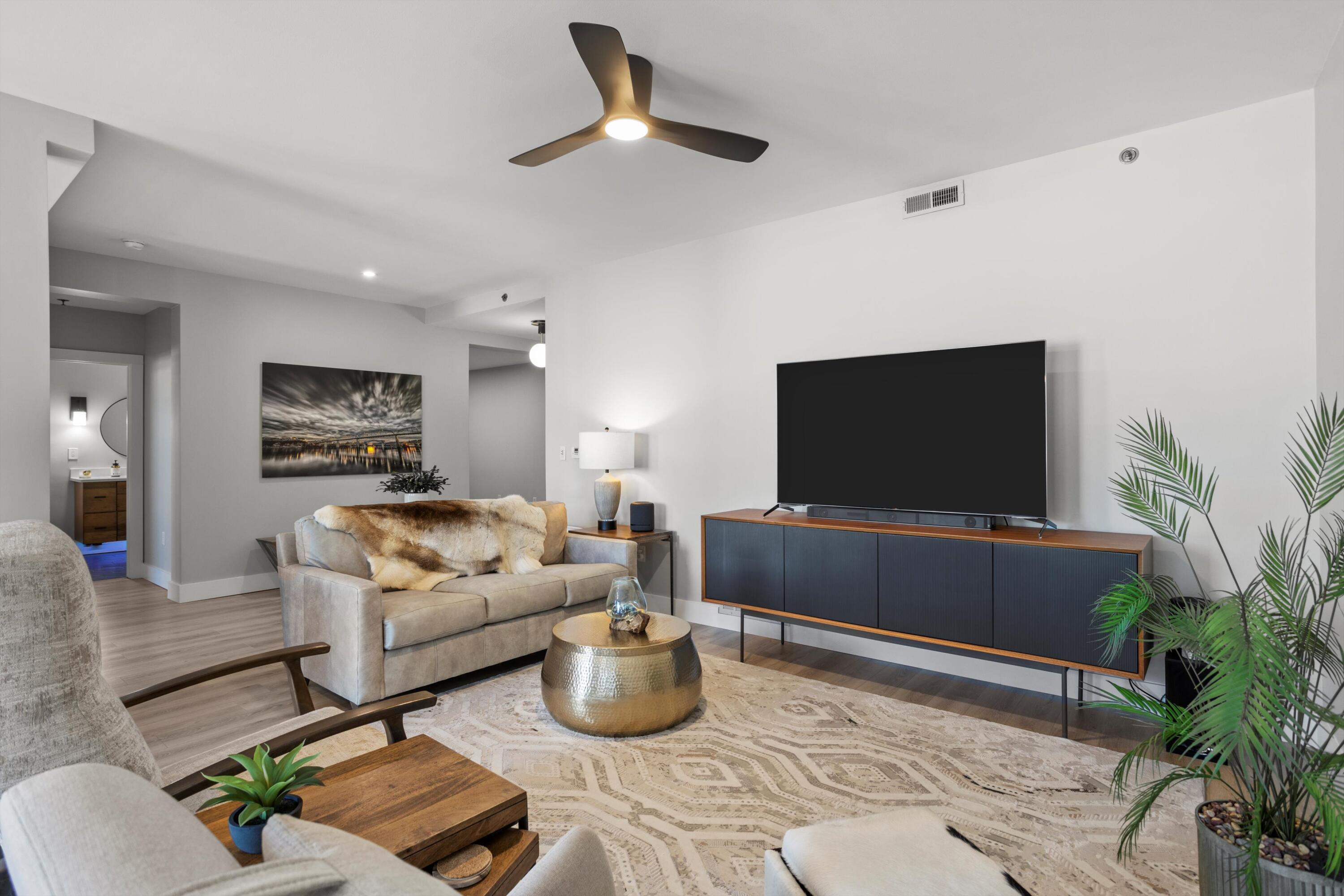 200 Manufacturers Road, Unit 216 Chattanooga, TN 37405 - Photo 4 of 62 Living space