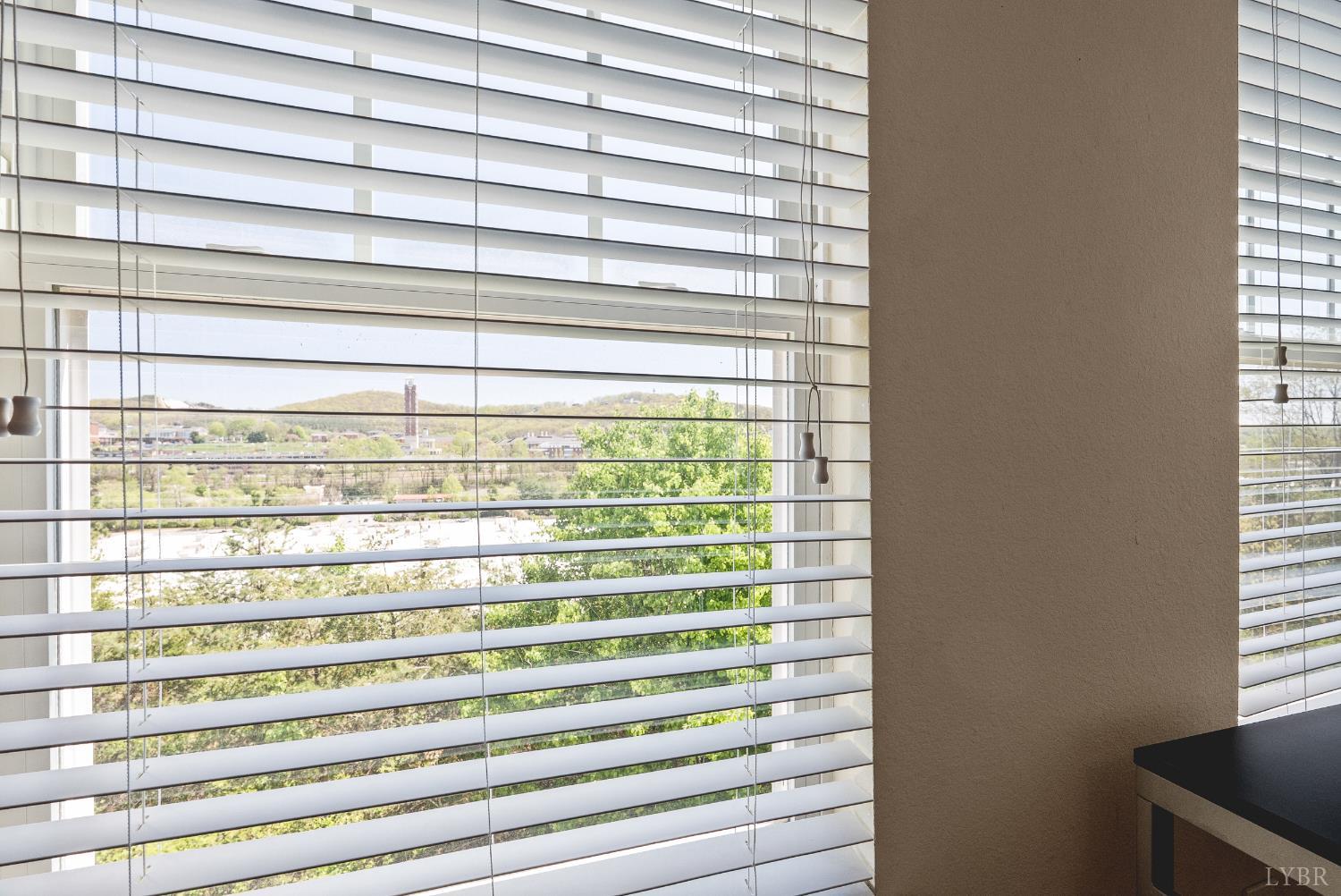 1600 Wards Ferry Road, Unit 902 Lynchburg, VA 24502 - Photo 24 of 43